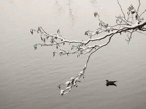 Photo art by Lena Weisbek: serene water scene with a flying bird in the background