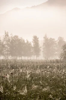 Foggy Morning 6 - Fineart photography by Mareike Böhmer