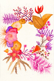 Un-typisch Verena Selbach, Autumn crocus (Germany, Europe)