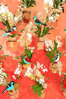 Wall art by Uma Gokhale: colorful birds in a harmonious arrangement