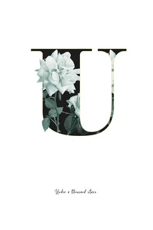 Illustration by Froilein Juno: flower alphabet featuring the letter U in soft colors
