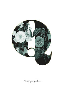 Froilein  Juno, Flower Alphabet Q (Germany, Europe)