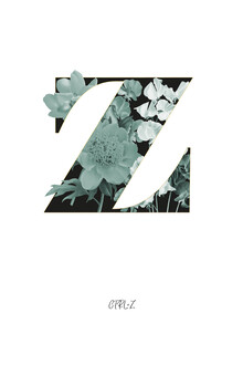 Froilein  Juno, Flower Alphabet Z