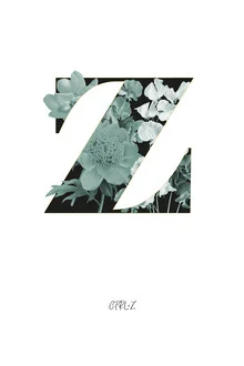 Illustration by Froilein Juno: floral letter in boho style