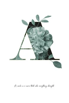 Illustration by Froilein Juno: flower alphabet with botanical elements.