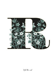 Froilein  Juno, Flower Alphabet R