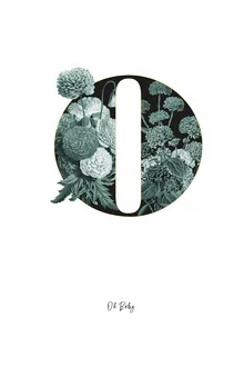 Illustration by Froilein Juno: playful flower alphabet featuring letter O