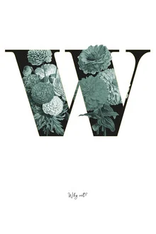 Illustration by Froilein Juno: floral letter W in soft colors