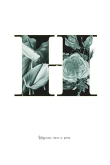 Illustration by Froilein Juno: colorful flower alphabet featuring the letter H