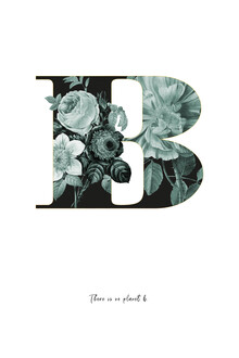 Froilein  Juno, Flower Alphabet B (Germany, Europe)