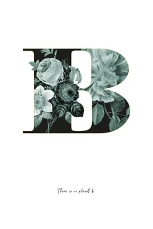 Wall art by Froilein Juno: stylish botanical representation of the letter B with flowers.