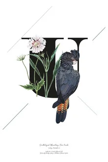 Illustration von Froilein Juno: botanisches Alphabet mit Blumen und Vogel