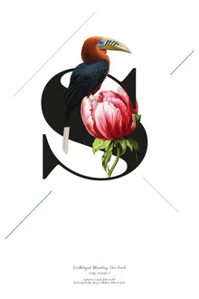 Illustration von Froilein Juno: botanisches Alphabet mit Blumen und Vogel.