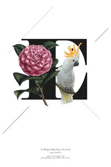 Illustration by Froilein Juno: Letter E surrounded by flowers and birds in a boho style