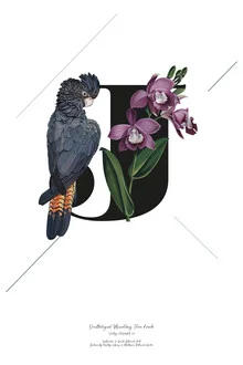 Illustration by Froilein Juno: botanical alphabet J featuring flowers and bird