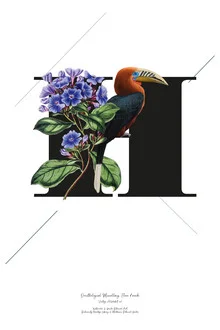 Illustration featuring botanical elements and the letter H in soft colors.