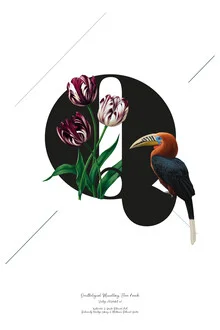 Wall art featuring botanical alphabet Q, showcasing flowers and a bird.