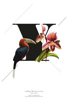 Illustration by Froilein Juno: Botanical Alphabet Y featuring flowers and a bird