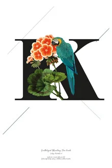 Illustration by Froilein Juno: Botanical Alphabet K featuring flowers and a bird