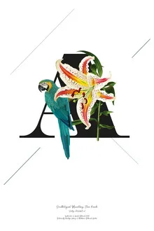 Illustration by Froilein Juno: botanical alphabet featuring flowers and a bird.