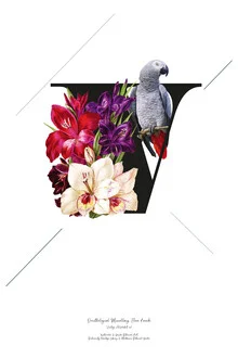 Illustration by Froilein Juno: botanical alphabet featuring the letter V
