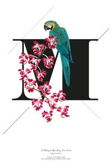 Illustration by Froilein Juno: botanical alphabet M featuring flowers and a bird