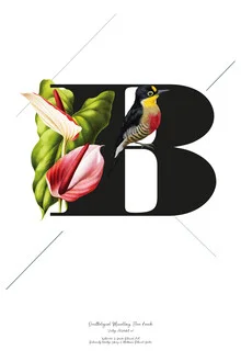 Illustration by Froilein Juno: artistic botanical alphabet featuring flowers and birds