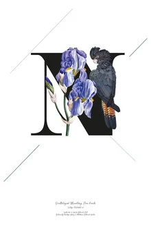 Illustration by Froilein Juno: botanical alphabet featuring flowers and birds.