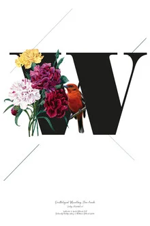 Illustration by Froilein Juno: botanical letter W with flowers and birds