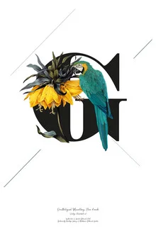 Illustration by Froilein Juno: botanical alphabet featuring a stylish representation of the letter G.