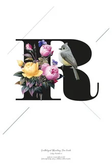 Illustration by Froilein Juno: botanical alphabet featuring flowers and birds.