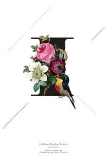 Illustration by Froilein Juno: botanical alphabet featuring flowers and birds.