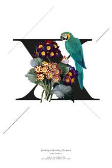 Illustration by Froilein Juno: botanical alphabet featuring plants and birds