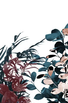 Illustration von Froilein Juno: zarte Blätter in sanften Farben.