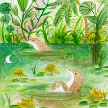 Marta Casals Juanola, otters in the river (Spanien, Europa)