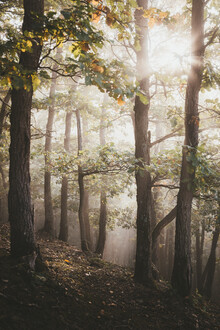 Philipp Heigel, Autumn foliage. (Germany, Europe)