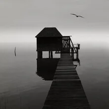 Photo art by Lena Weisbek: a calm lake in fog with a bird in the foreground.