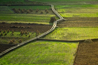 Photo art by AJ Schokora: gentle light mood over a rural field in China
