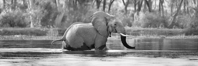 Photo art by Dennis Wehrmann: elephant by the water in Zambia