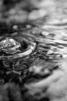 Black and white photo by Nikki Gijselhart: drops falling in the rain.