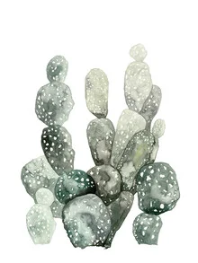 Illustration by Christina Wolff: colorful cacti in a desert landscape
