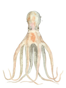 Christina Wolff, Oktopus (Germany, Europe)