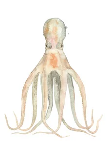 Illustration of an octopus in soft colors reflecting the underwater world.