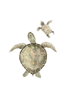 Christina Wolff, Sea Life - Turtles (Germany, Europe)