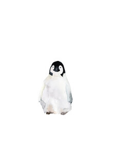 Christina Wolff, Sea Life - Penguin (Germany, Europe)