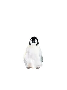 Wall art by Christina Wolff: playful penguin swimming in water