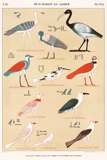 Illustration by Vintage Collection: paintings from the tombs of Nevoethph and Menothph