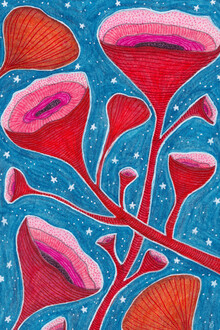 Un-typisch Verena Selbach, Universe (Germany, Europe)