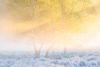 Felix Wesch, Frostiger Sonnenaufgang