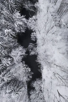 Photo art: black river flowing through a snowy winter forest